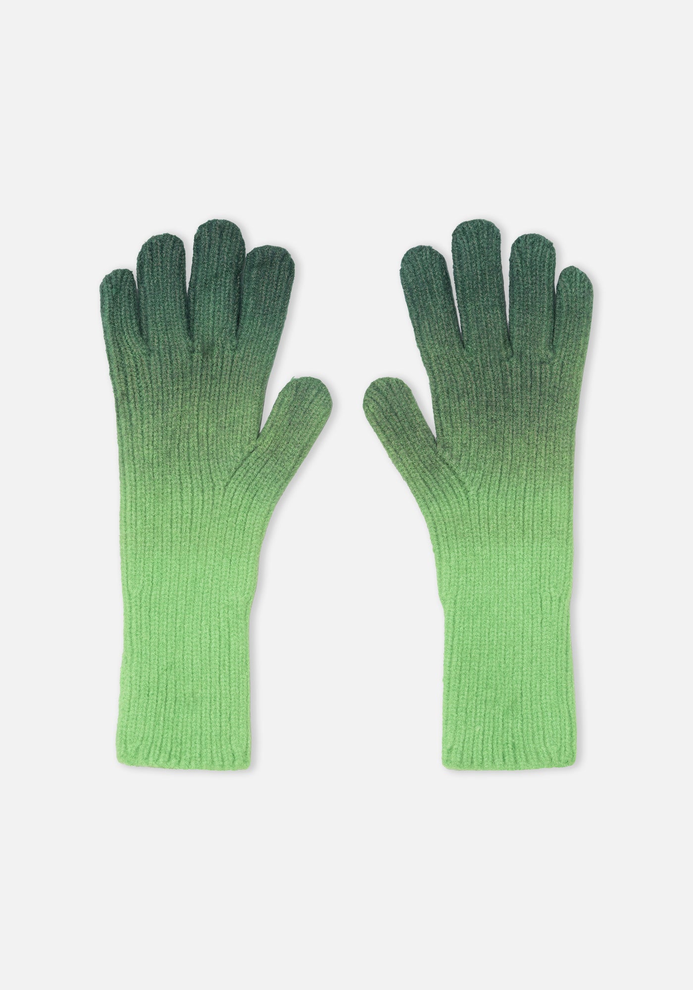 Gants dégradé vert